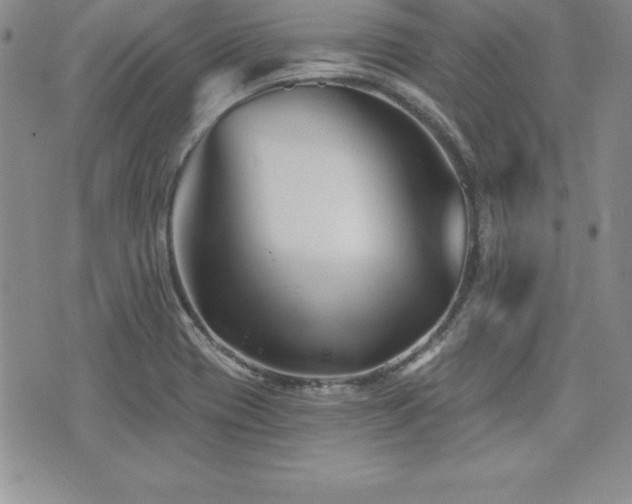 X0000073911417200608111146