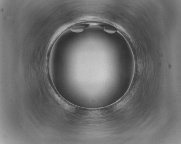 X0000073911421200608111146