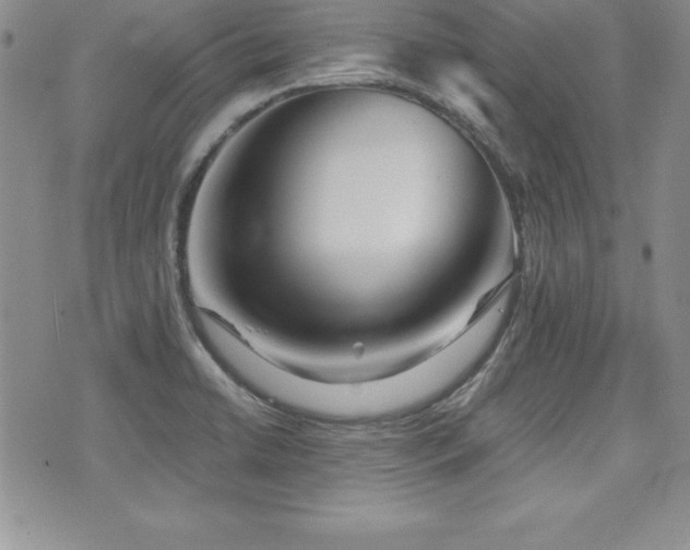 X0000073911422200608111146
