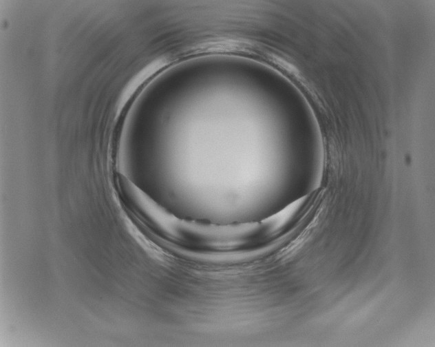 X0000073911426200608111146
