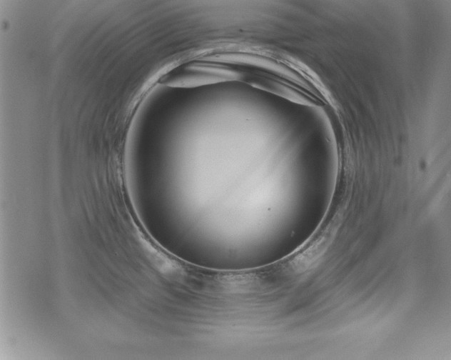 X0000073911433200608111146
