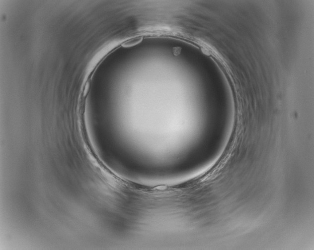 X0000073911440200608111146