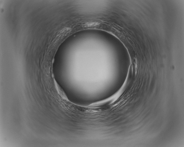 X0000073911441200608111146