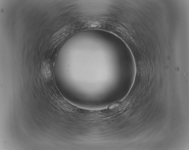 X0000073911442200608111145