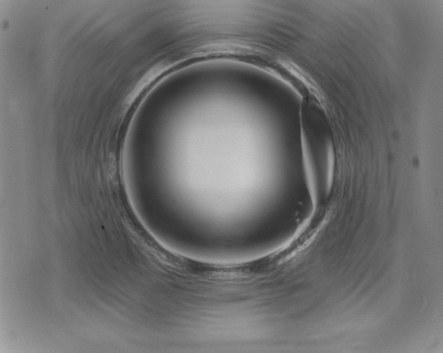 X0000073911465200608111145
