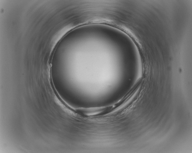 X0000073911476200608111145