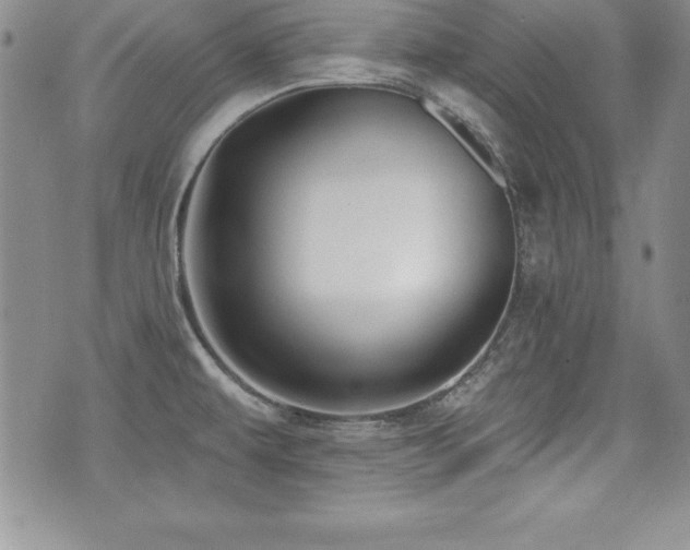X0000073911479200608111145