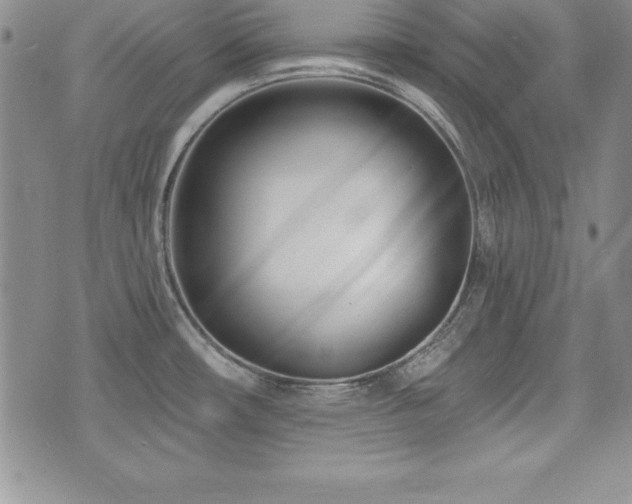 X0000073911482200608111145