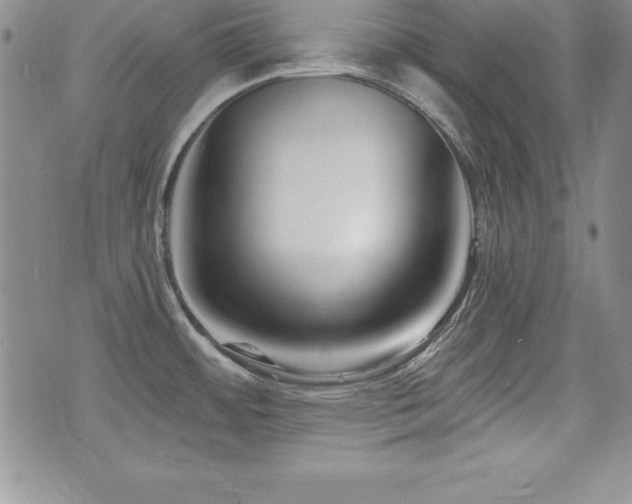 X0000073911484200608111145