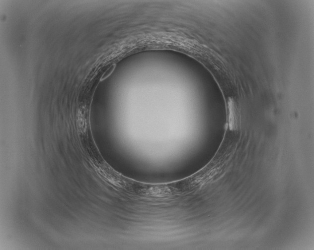 X0000073911491200608111144
