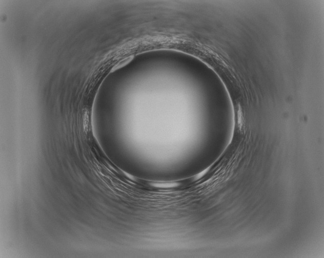 X0000073911492200608111144