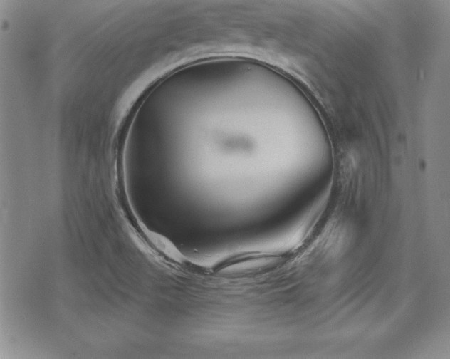 X0000073911511200608111144