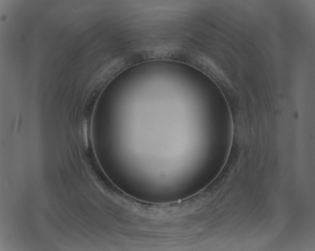 X0000073910022200608181035