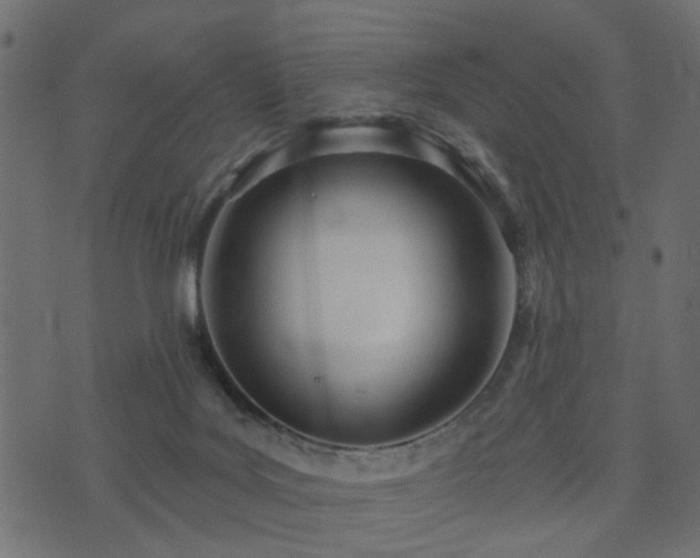 X0000073910027200608181035