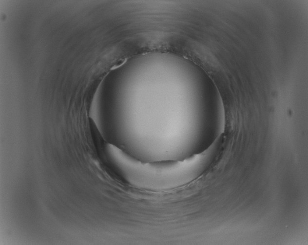 X0000073910039200608181035
