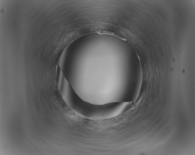 X0000073910041200608181035