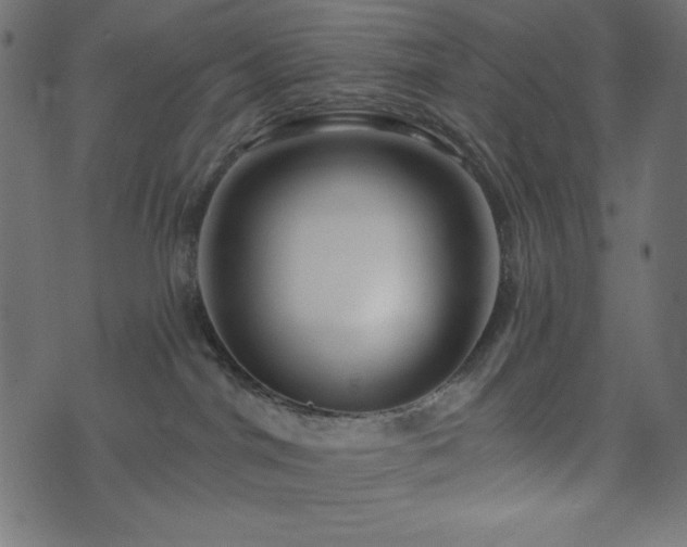 X0000073910044200608181035