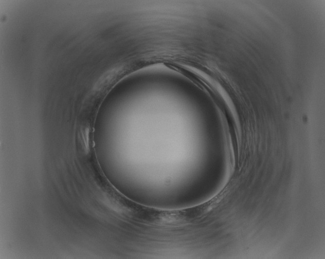 X0000073910070200608181034