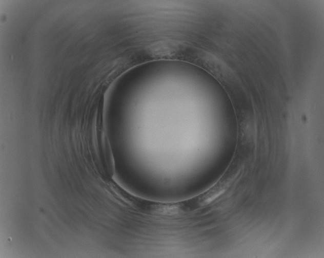 X0000073910081200608181035