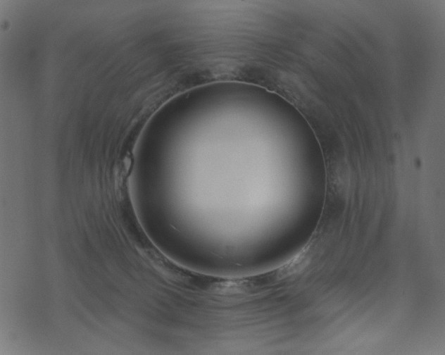 X0000073910082200608181035