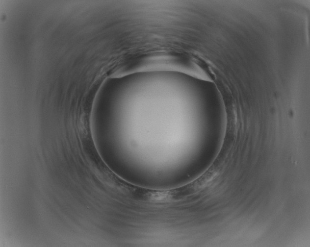 X0000073910088200608181035