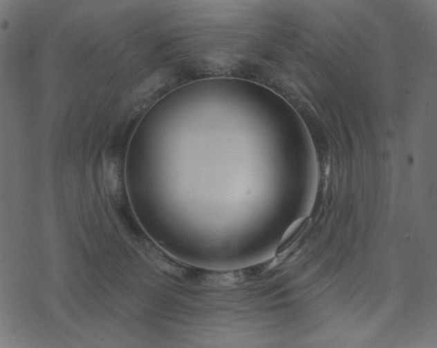 X0000073910131200608181034