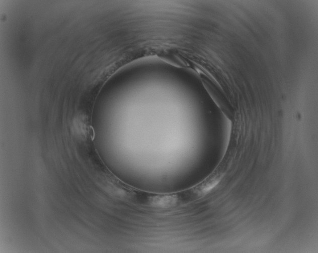 X0000073910135200608181033