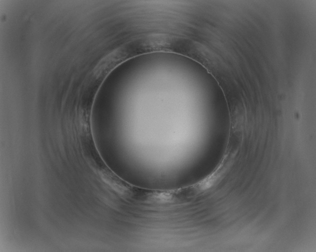 X0000073910140200608181033