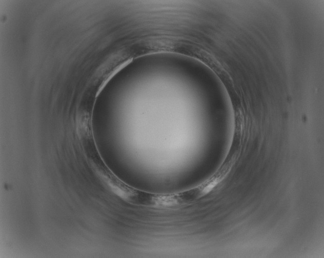 X0000073910141200608181033