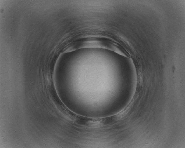 X0000073910170200608181033