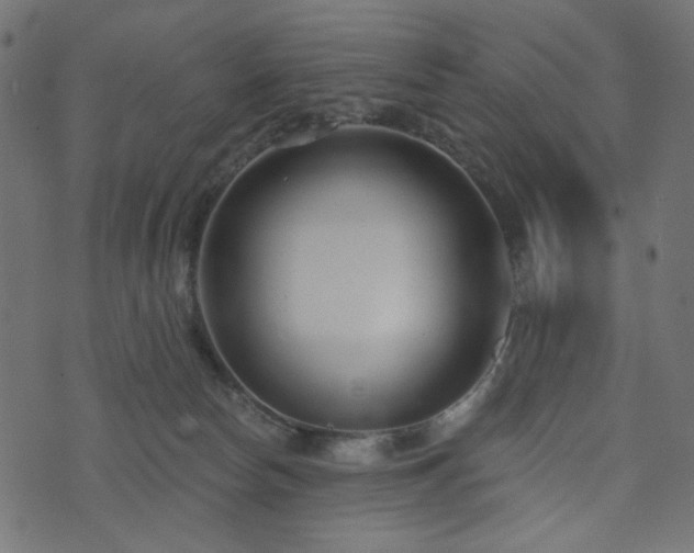 X0000073910178200608181033