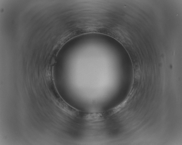 X0000073910179200608181033