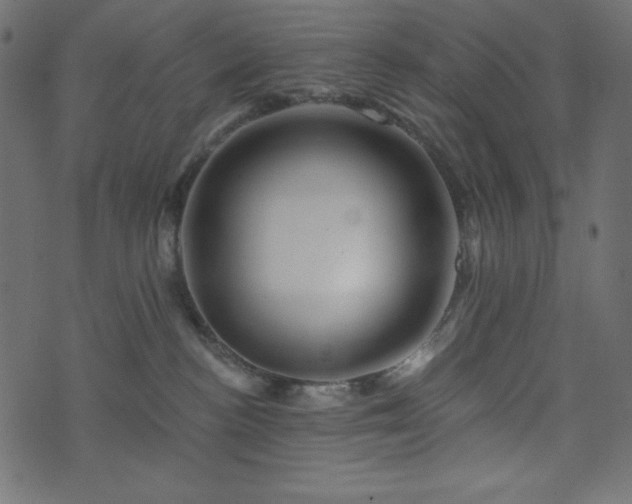 X0000073910188200608181033