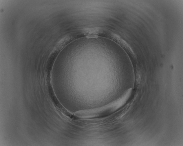 X0000073910209200608181032