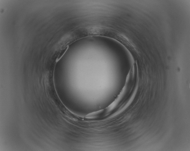 X0000073910217200608181032