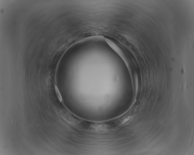 X0000073910221200608181032