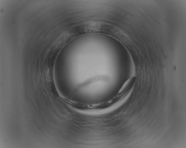 X0000073910224200608181032
