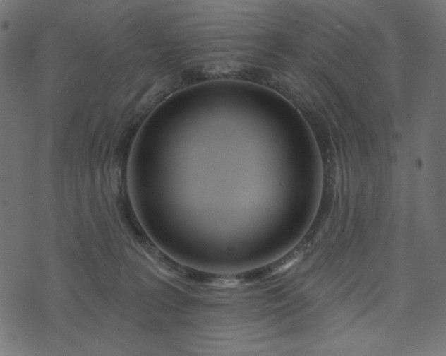 X0000073910227200608181032