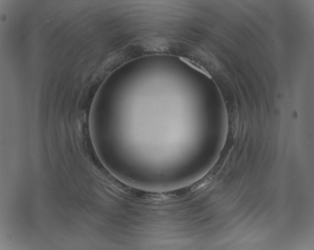 X0000073910229200608181032