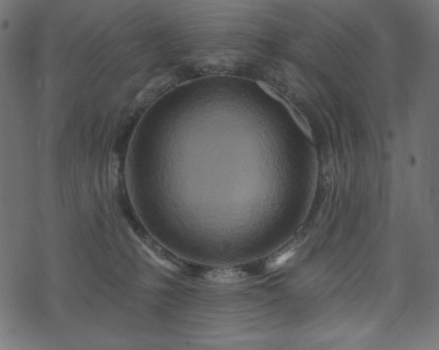 X0000073910231200608181032