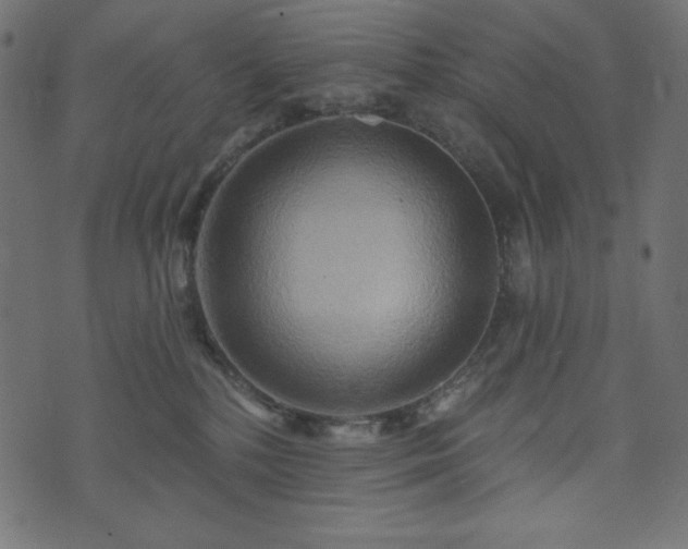 X0000073910232200608181032