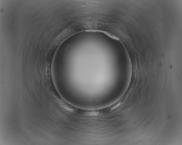X0000073910233200608181032