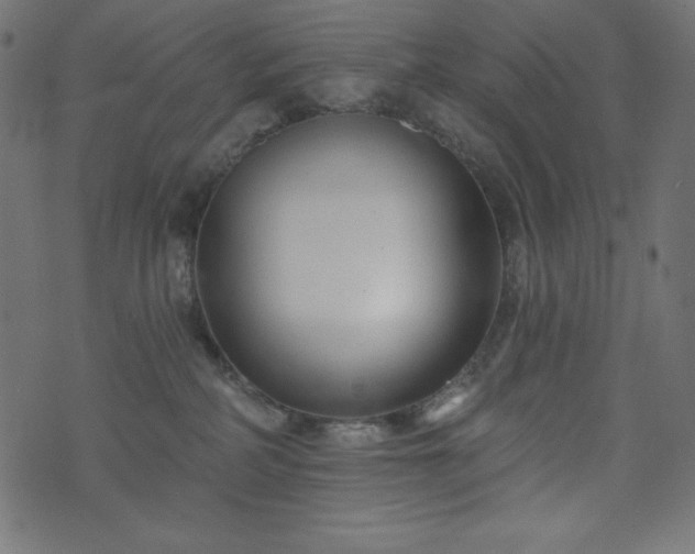 X0000073910234200608181032