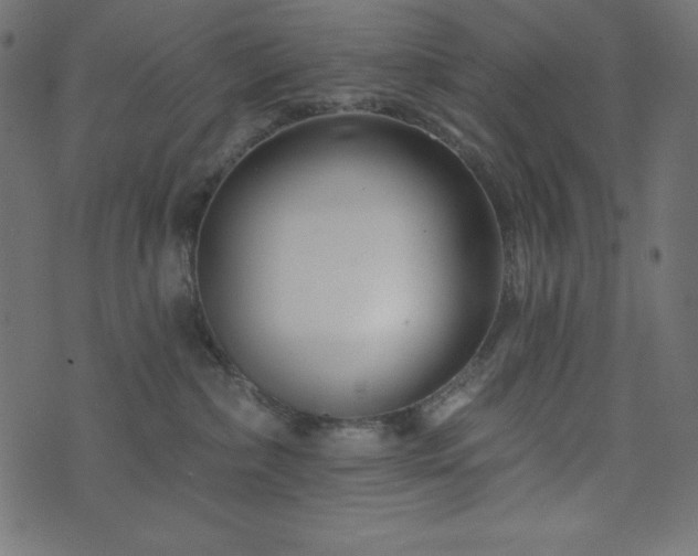 X0000073910236200608181032