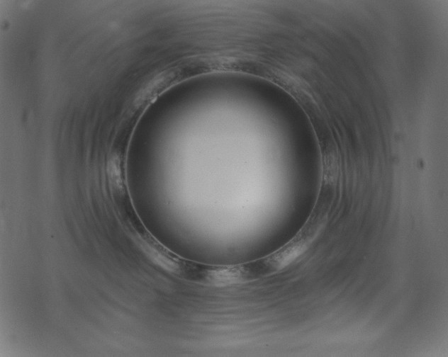 X0000073910238200608181032