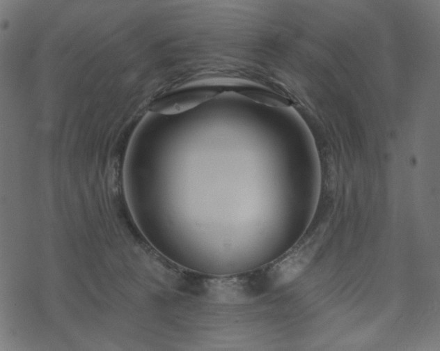 X0000073910273200608181031