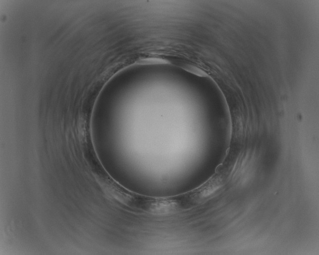 X0000073910274200608181031