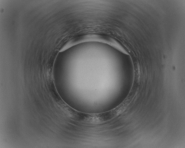 X0000073910276200608181032