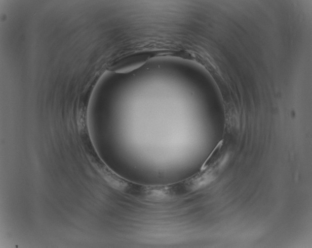 X0000073910285200608181032