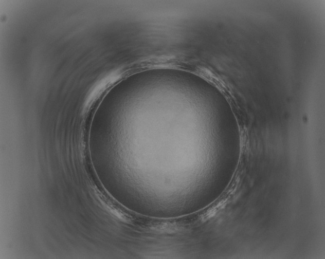 X0000073910293200608181031
